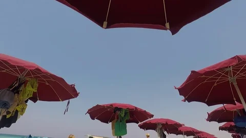 Red umbrellas shaken by the wind Video stock 77732478
