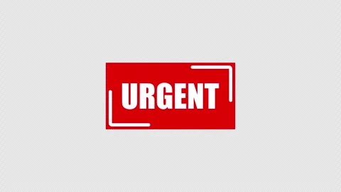 A red urgent rectangular label on white Stock Footage 337079785