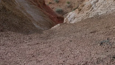 Red valley Stock Footage 197508536