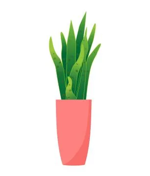Red vase with plants Stock Illustration