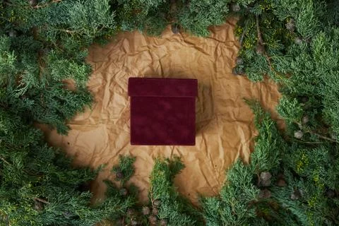 Red velvet box with empty space for text framed from natural spruce Stock Photos