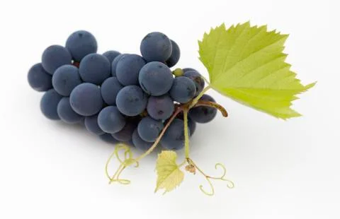 Red vine grapes Stock Photos
