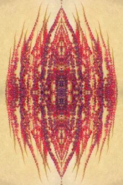 Red vine on the wall pattern Stock Photos