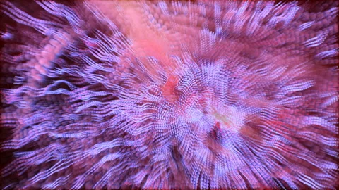 Red-violet particles move slowly on a black background. Animated abstract backgr 스톡 동영상 124617468