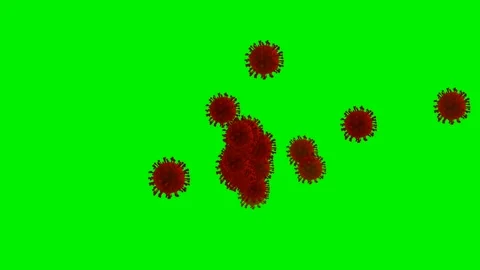 Red virus cells floating on green screen background Stock Footage 345998123