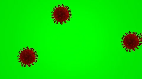Red virus cells floating on green screen background Stock Footage 345998136
