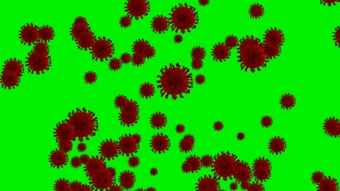Red virus cells floating on green screen background Stock Footage 345998156