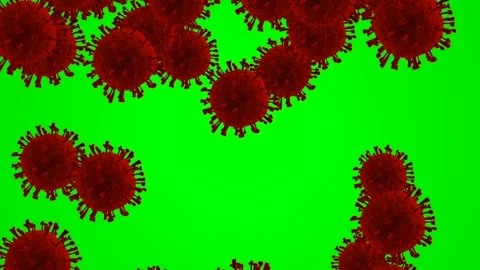 Red virus cells floating on green screen background Stock Footage 345998158