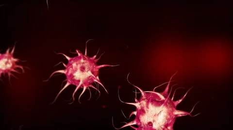Red virus cells floating inside vessel Stock Footage 63842682