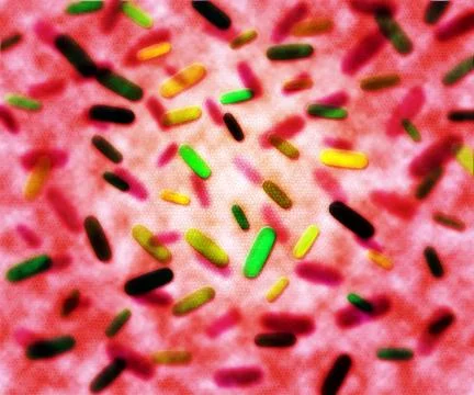 Red virus texture background Stock Illustration