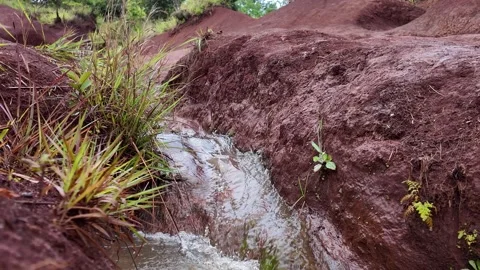 Red volcanic rock with a small stream trickling in Kauai Hawaii Stockbeeldmateriaal 347826199