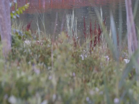 Red Walking Bridge tilt 스톡 동영상 79972849