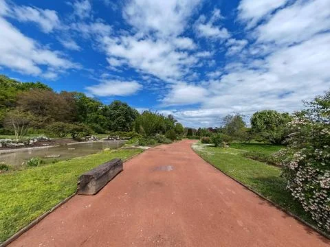 Red walking path in park with bench and blue sky Foto stock