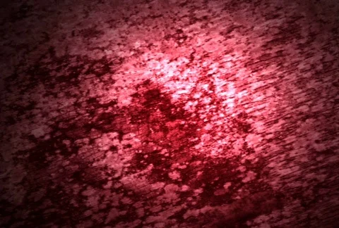 Red Wall Видео 102272