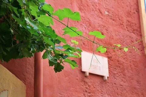 Red wall Stock Photos