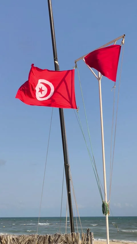 Red warning flag and Tunisian flag waving on a beach in Tunisia (vertical) 库存影片 341313714