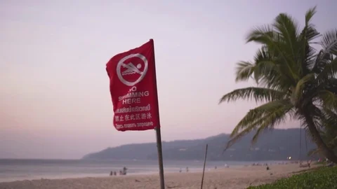 Red warning flag on the beach - no swimming. Palm tree on the background. Stock Footage 83672224