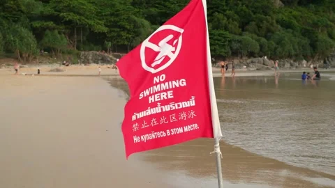 Red Warning Flag on Beach with No Swimming Sign Vídeos de archivo 337623652