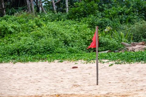 Red warning flag on beach 写真素材