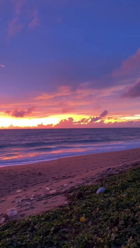 Red Warning Flag on Tropical Beach at Sunset Stock Footage 342267116