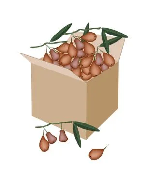 Red Water Apple in A Shipping Box Stock Illustration