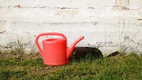 Red watering can Stock Footage 110841010