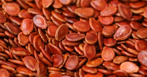 Red watermelon seed Stock Footage 101149022