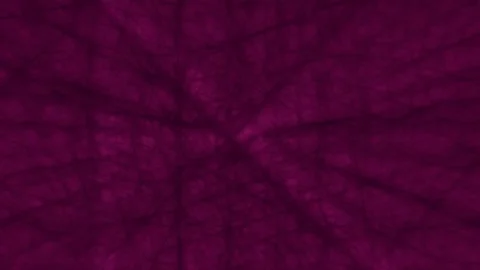 Red Webbed Strain Vein Motion Loop Stock Footage 242831520