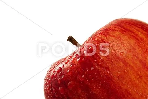 Red wet apple closeup Stock Photos