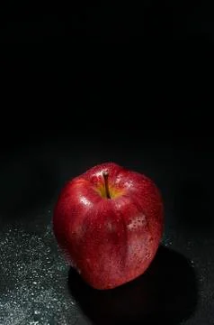 Red wet apple with drops Stock Photos