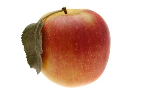 Red wet apple with leaf Foto stock