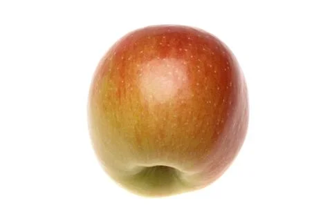Red wet apple Stock Photos