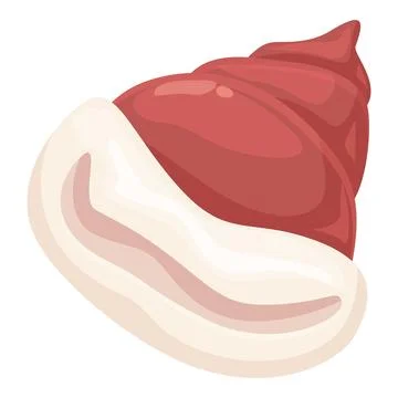 Red whelk shell lying on white background showing its mantle Stock Illustration