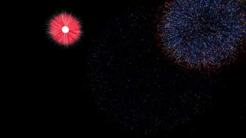 Red White and Blue Fireworks Exploding Against a Black Night Sky 動画素材 329008694