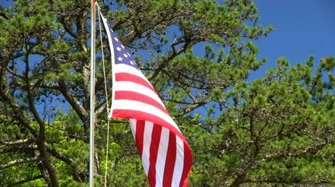 Red, white and blue Stock Footage 12202610