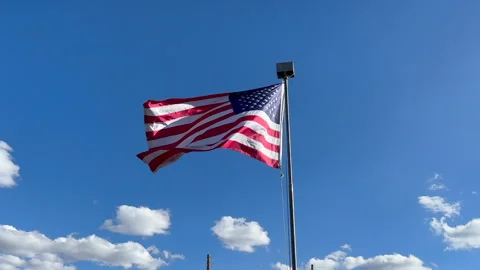 Red White and Blue Stock Footage 330953319