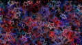 Red white and blue stars dancing background HD Footage