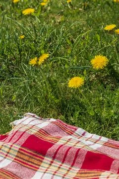 The red, white, and yellow patterned picnic blanket laid on green grass wit.. Stock Photos