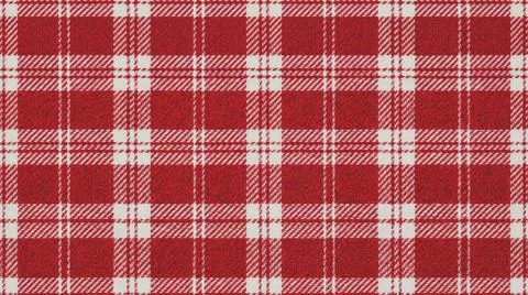 Red White Checkered Fabric Texture Pattern. Stock Illustration