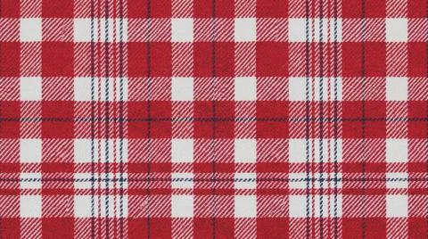 Red White Checkered Plaid Fabric Texture. イラスト素材