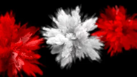Red White Color Burst - Multiple colorful smoke explosions fluid particles alpha Stock Footage 105579212