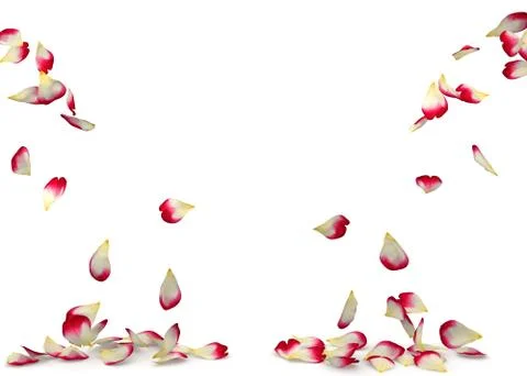 Red-white roses fall to the floor on two sides Stock Illustration