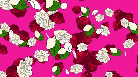 Red &amp; White Roses on Pink Video stock 244660701