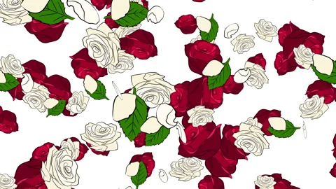 Red &amp; White Roses on White Video stock 244661207