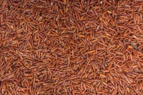 Red wild rice background Stock Photos