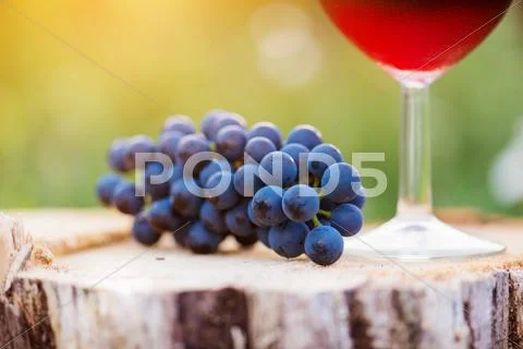 Red wine and blue grapes laid on wooden stump Stock Photos