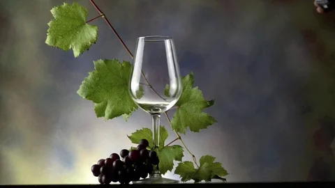 Red wine and grapes Video stock 74120337
