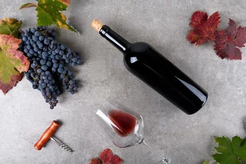 Red wine bottle with bunch of grape, fall grape's leaves on gray background.. Stock Photos