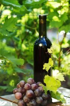 Red wine bottle with grape Stock Photos