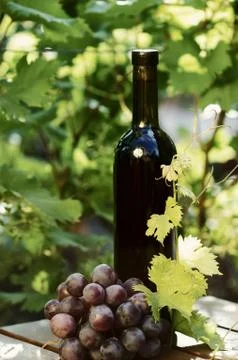 Red wine bottle with grape Stock Photos